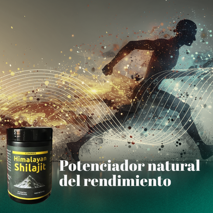 Himalayan Shilajit Gummies